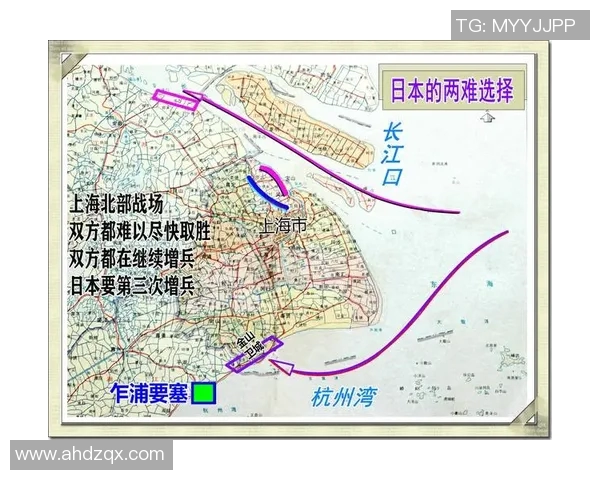 杭州羽毛球队反击战术解析与实战应用探讨