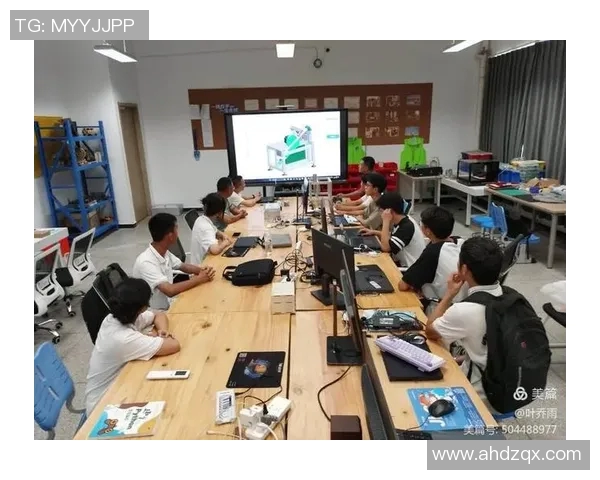 杭州羽毛球队防守革新之路:技术提升与战术创新的深度解析 杭州羽毛球队防守革新之路:技术提升与战术创新的深度解析